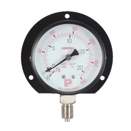 ammonia, bottom connection pressure gauge with flange