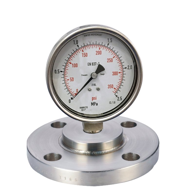 Diaphragm seal pressure gauge (flanged)