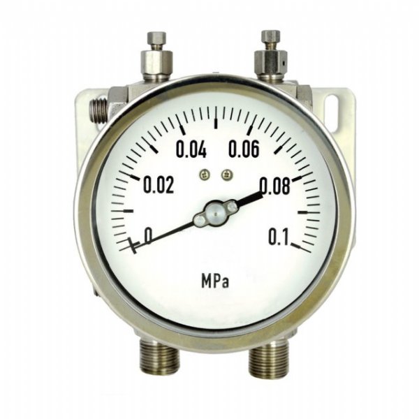 Double Diaphragm Differential pressure gauge