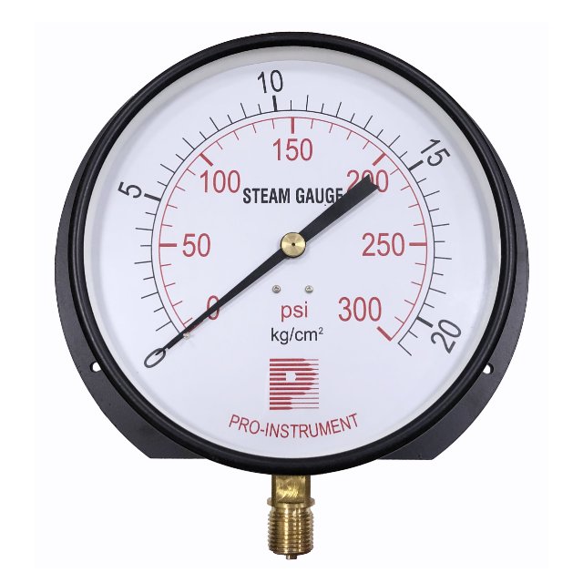 Steam pressure gauge