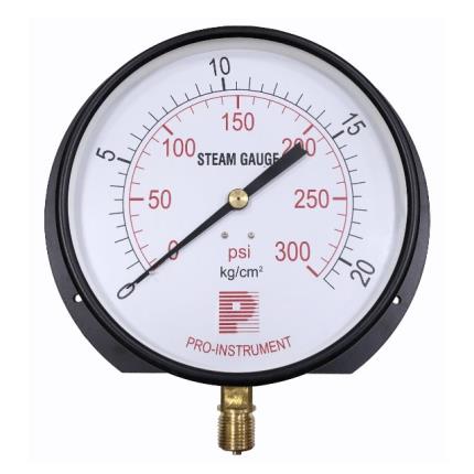 bottom connection steam pressure gauge